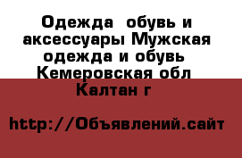 Одежда, обувь и аксессуары Мужская одежда и обувь. Кемеровская обл.,Калтан г.